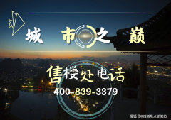 高区南向拥无遮挡全景视野